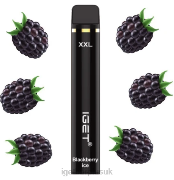 Online IGET Vapes | IGET XXL - 1800 PUFFS Blackberry Ice