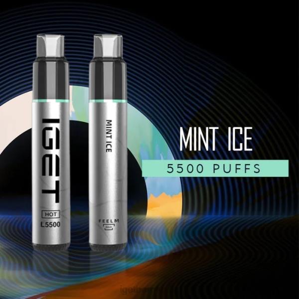 IGET Bar UK | IGET HOT - 5500 PUFFS Mint Ice