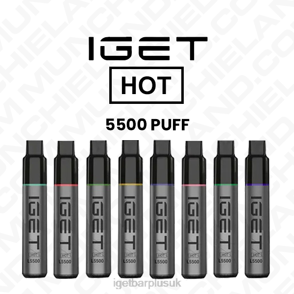 Online IGET Vapes | IGET HOT DISPOSABLE VAPE WHOLESALE (5500 PUFFS)